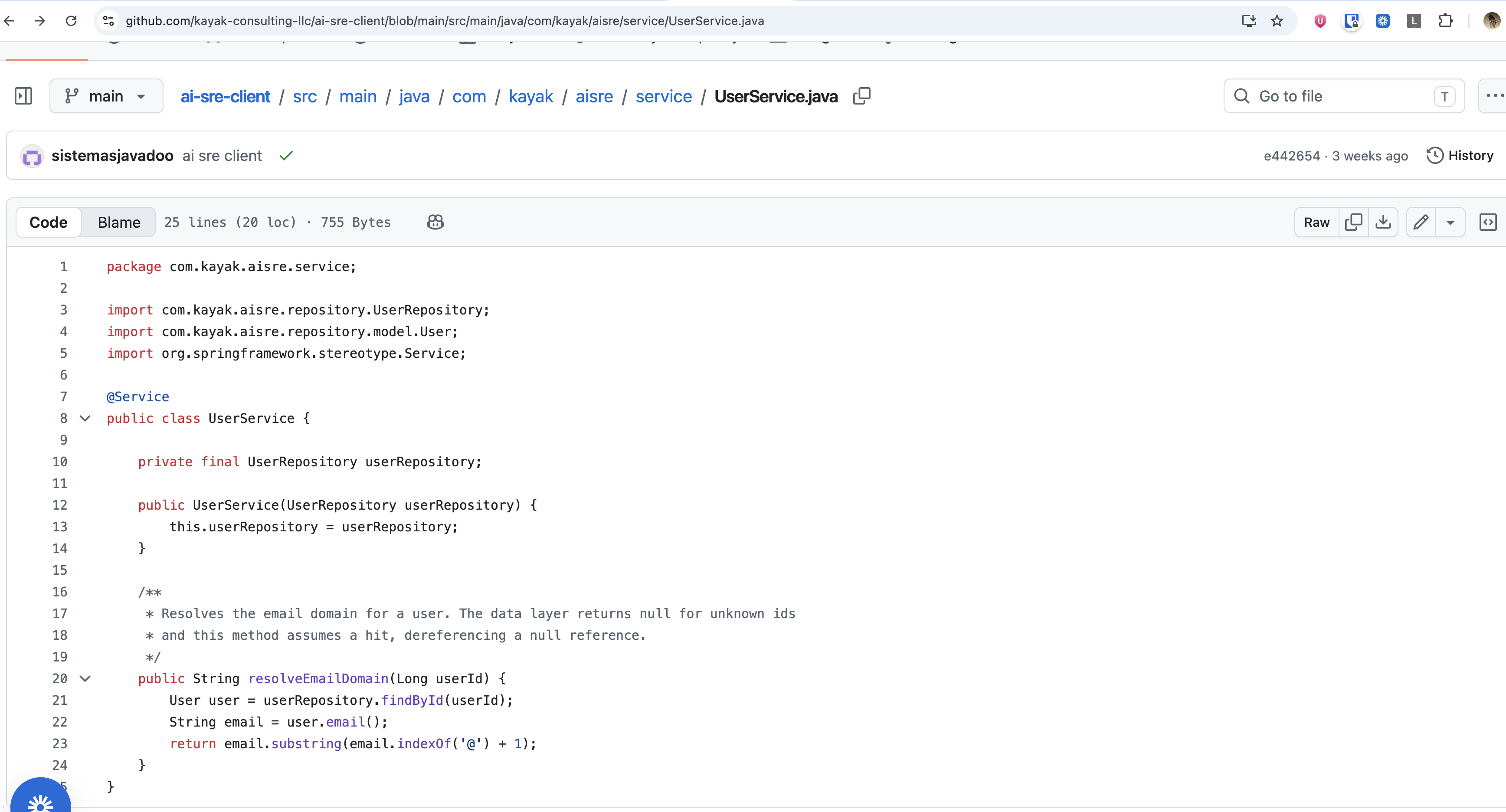 GitHub source file the agent pulls for developer context